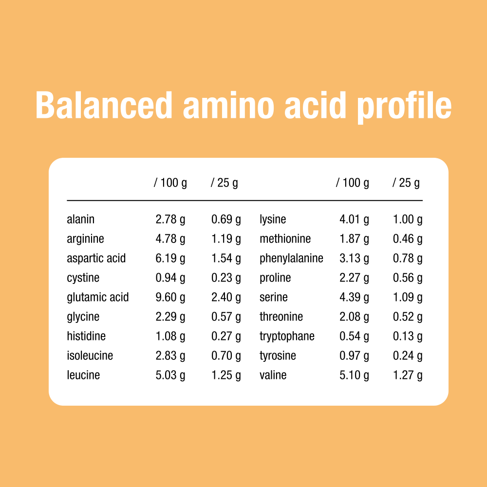 Vegan protein mix - cacao